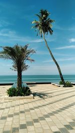 Palm tree by swimming pool against sky