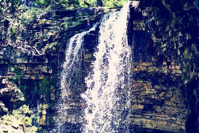 Scenic view of waterfall in forest