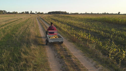 Rear view of man on agricultural field