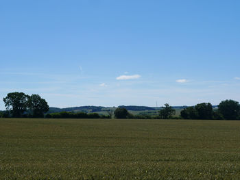 Scenic view of field against clear sky