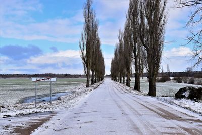 Road amidst bare trees during winter