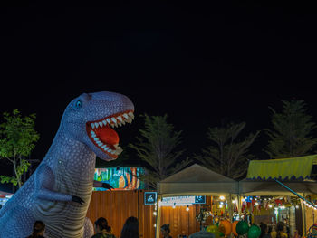 People in amusement park against clear sky at night