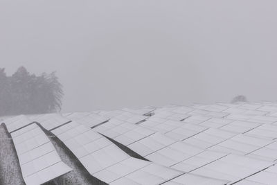 fog