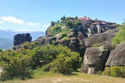 Plants growing on rock against sky