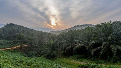 Scenic view of landscape against cloudy sky