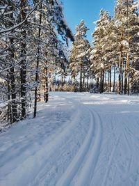 Snow covered land and trees against sky