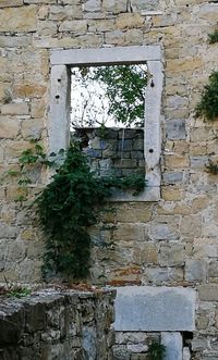 Brick wall of old building