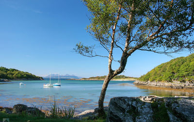 Scenic view of sea against clear blue sky