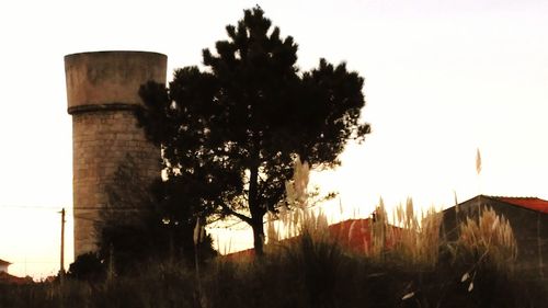 Silhouette trees against sky at sunset