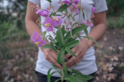 Midsection of woman holding pink flowering plants