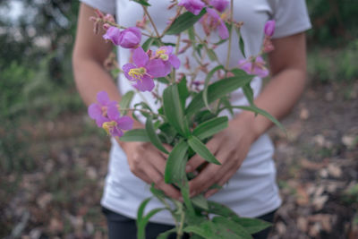 Midsection of woman holding flowering plants