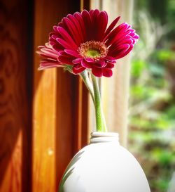 Close-up of rose in vase