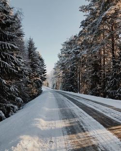 Road amidst trees against sky