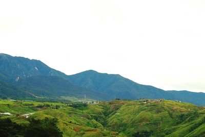 Scenic view of vineyard against sky