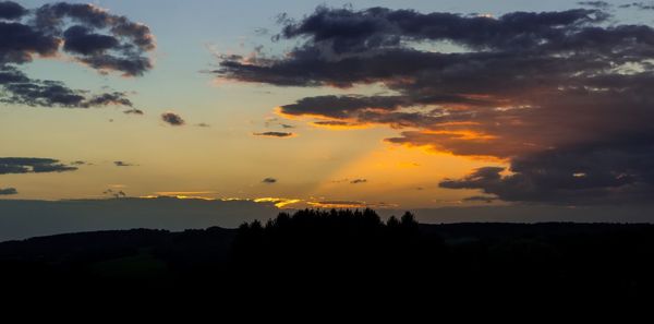 Silhouette trees against sky during sunset