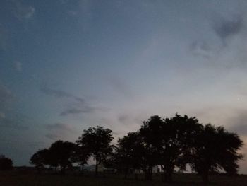 Trees on field against sky