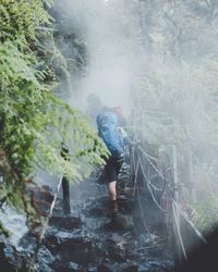 Man standing on rock in forest