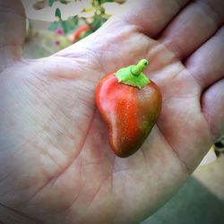 Close-up of hand holding strawberry