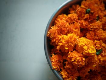 Close-up high angle view of marigold