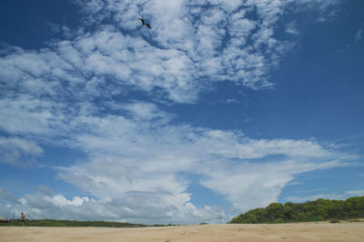 Birds flying over landscape against sky