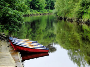 Boat moored on lake by trees