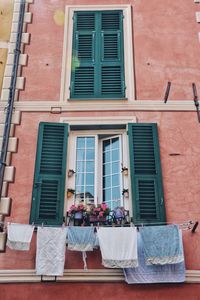 Low angle view of potted plant against building