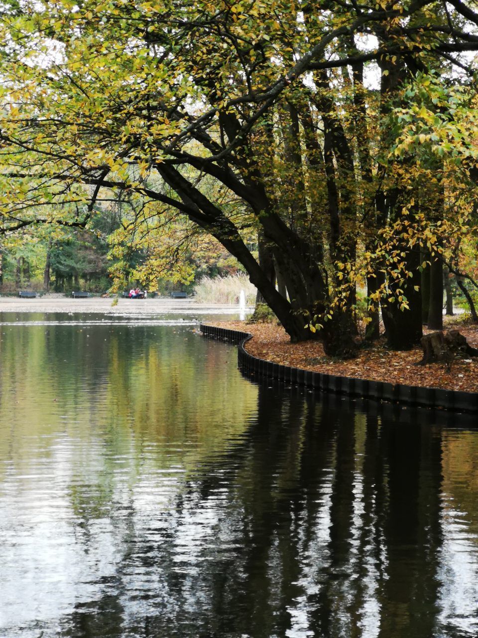 SCENIC VIEW OF LAKE WITH TREES REFLECTION