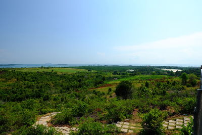 Scenic view of sea against clear sky