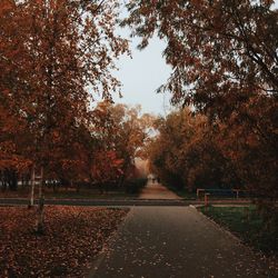 Road amidst trees against sky during autumn