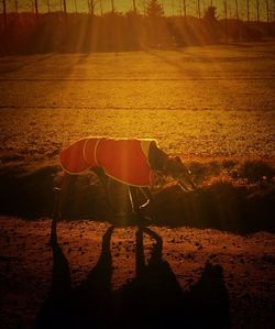 Side view of man standing on field