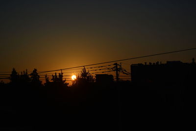 Silhouette of trees at sunset