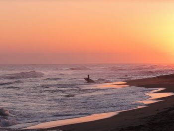 Scenic view of sea against orange sky