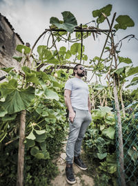 Rear view of man standing by plants