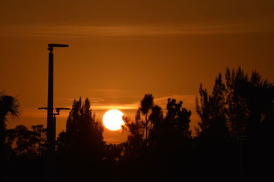 Silhouette trees against sky during sunset