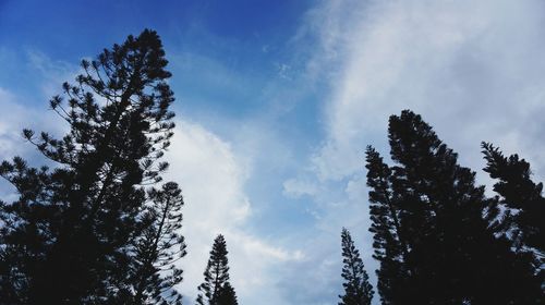 Low angle view of silhouette trees against sky