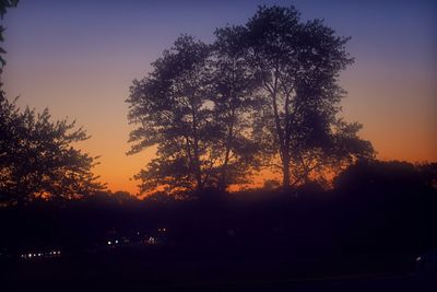 Silhouette trees against sky during sunset
