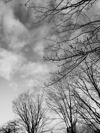 Low angle view of bare tree against sky