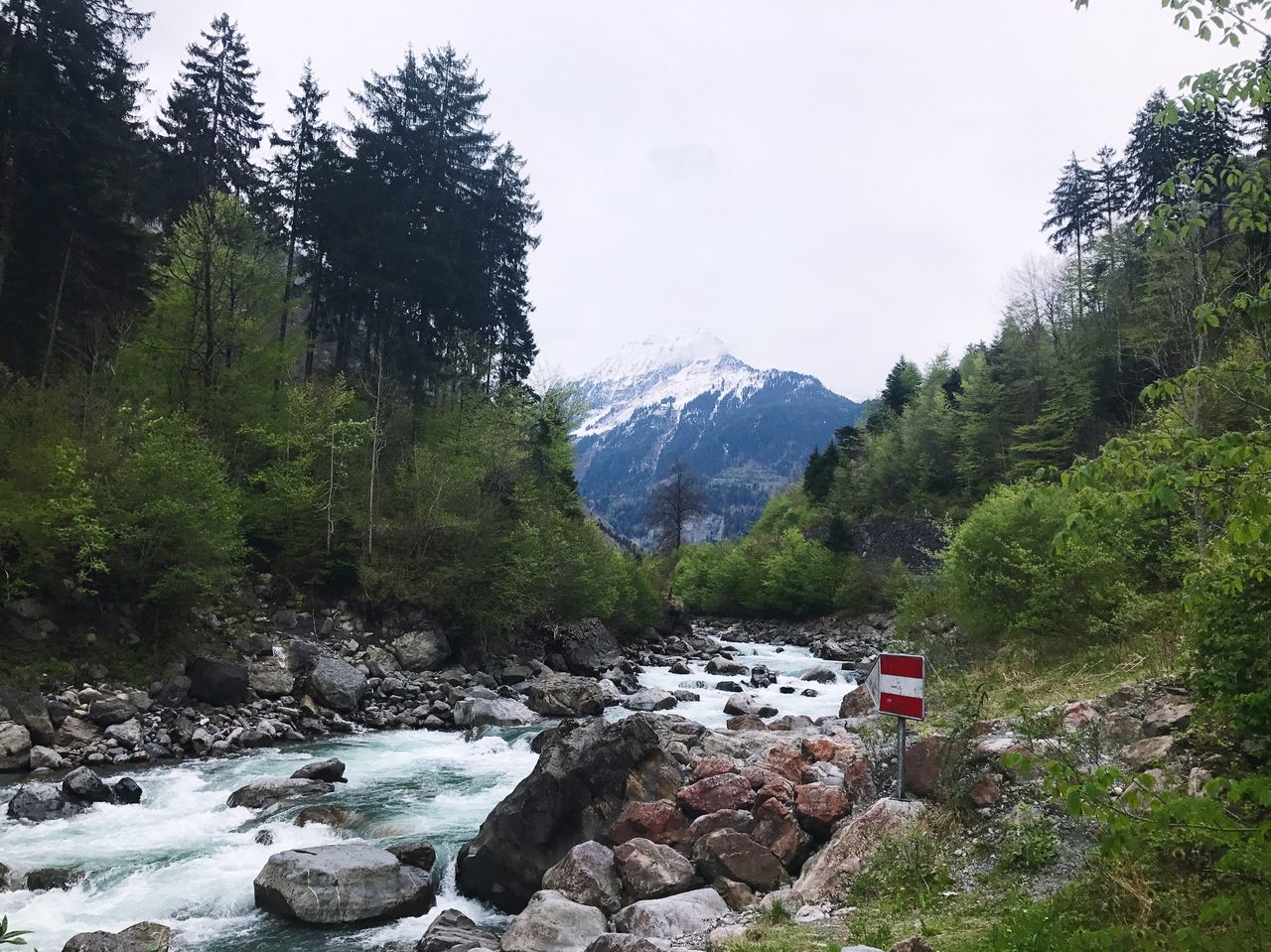 mountain, nature, beauty in nature, no people, tree, water, forest, river, day, scenics, outdoors, sky, landscape