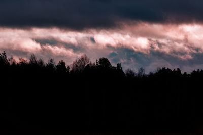 Silhouette trees in forest against sky at night