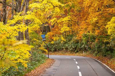 Road amidst trees during autumn