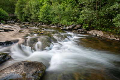 Stream flowing through rocks in forest