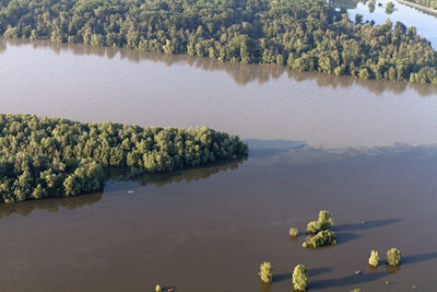 High angle view of trees by lake