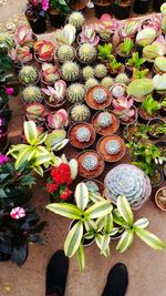 High angle view of bouquet