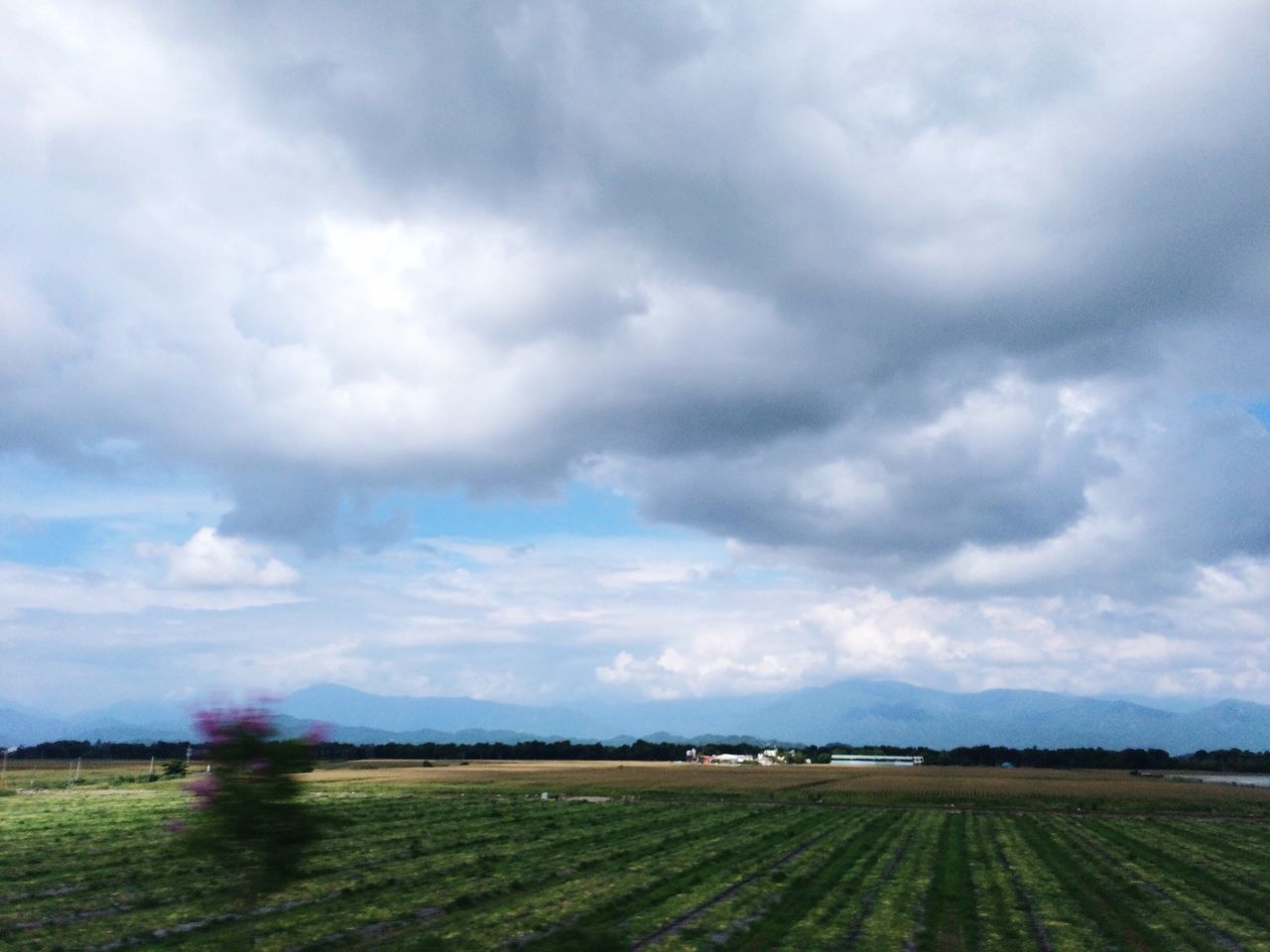 sky, field, landscape, cloud - sky, tranquil scene, cloudy, grass, rural scene, agriculture, tranquility, scenics, beauty in nature, nature, cloud, farm, growth, green color, weather, grassy, horizon over land