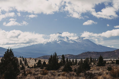 Scenic view of landscape against cloudy sky