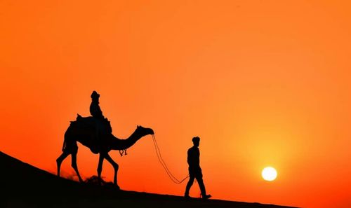 Silhouette man riding camel against orange sky