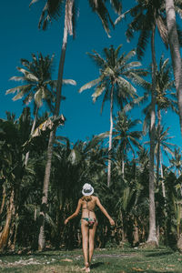 Rear view of woman standing against palm trees