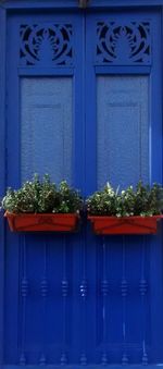 Potted plants on house wall