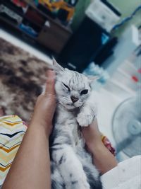 Midsection of person with cat relaxing on hand