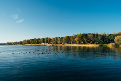 Scenic view of lake against clear blue sky